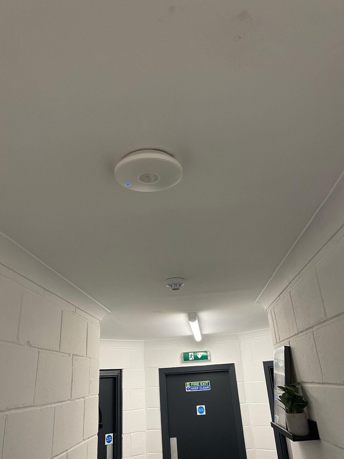 Ceiling-mounted wireless access point installed in a serviced office corridor